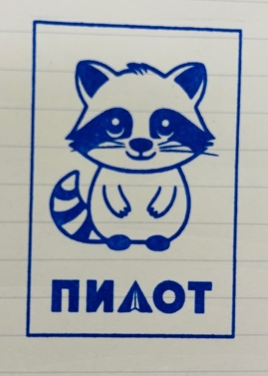 Фото печати «Пилот»