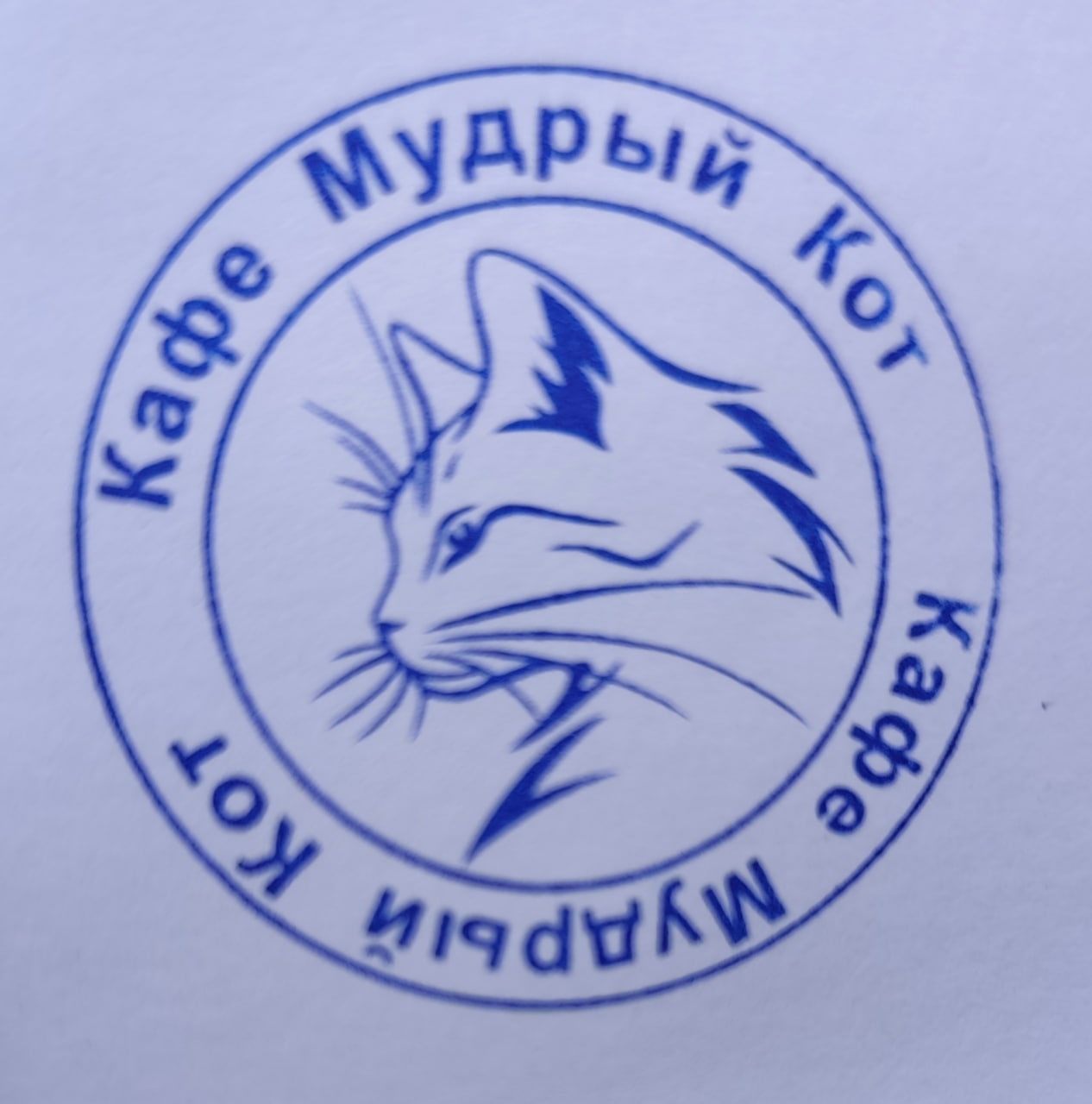 Фото печати «Мудрый кот»