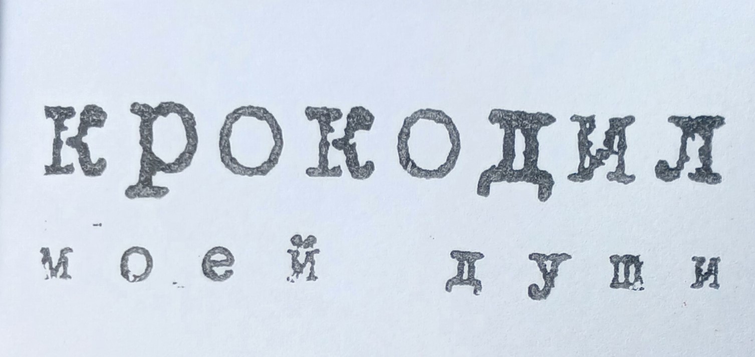 Фото печати «Крокодил моей души»