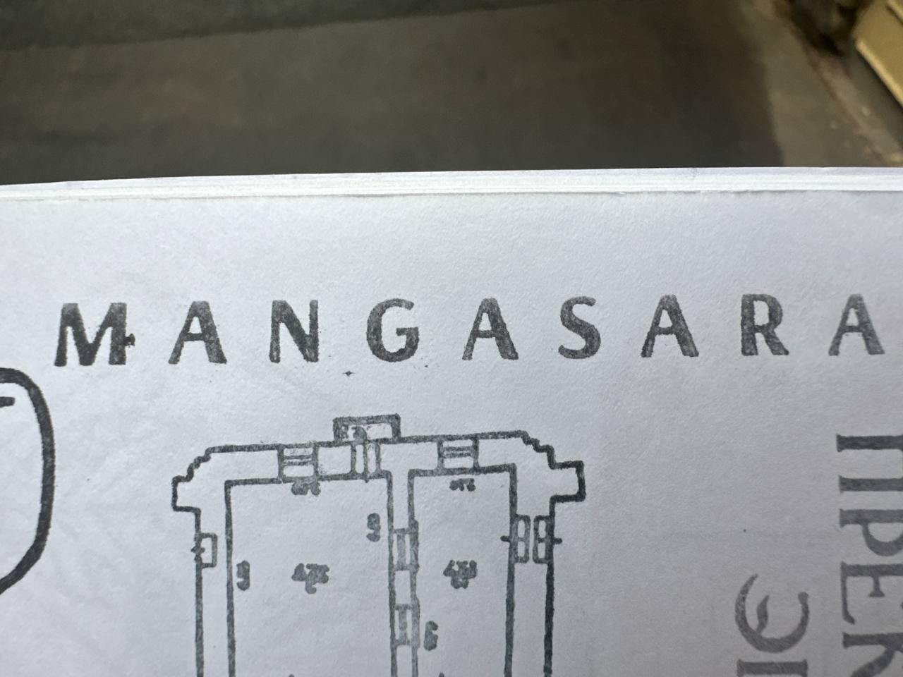 Фото печати «Mangasara»